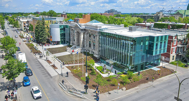 Top 5 des meilleures bibliothèques à Montréal à explorer!